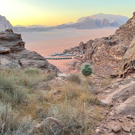Rum Magic Nights Wadi Rum Exteriör bild